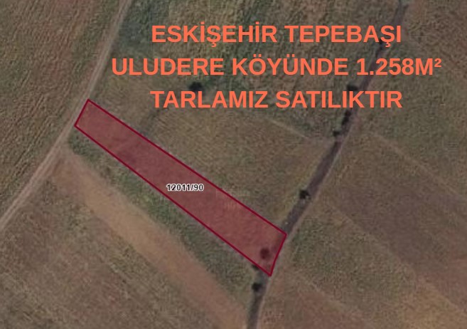 ESKİŞEHİR TEPEBAŞI  ULUDERE KÖYÜNDE 1.258M² TARLAMIZ SATILIKTIR - ESKİŞEHİR TEPEBAŞI fotoğraf 6